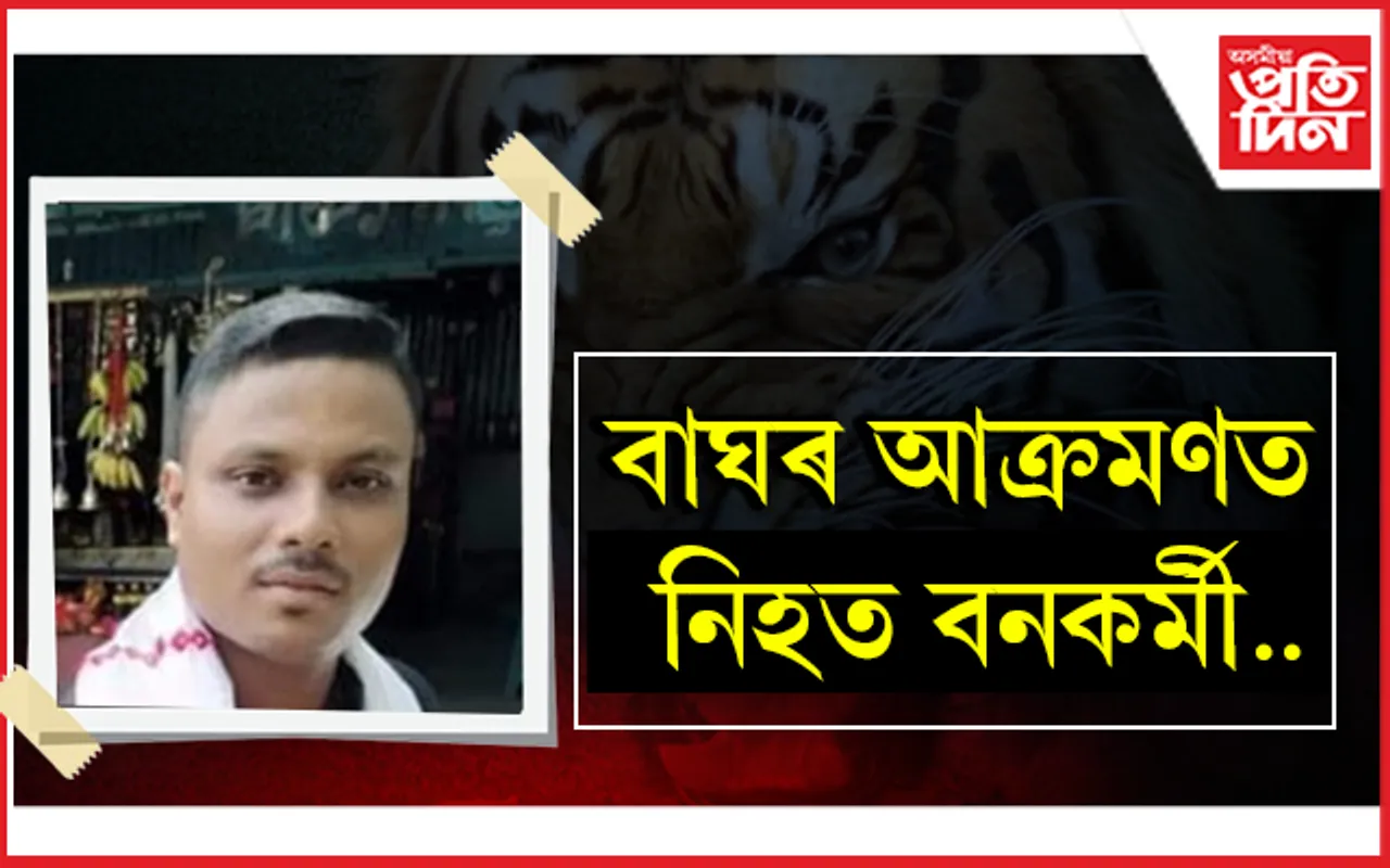 ওৰাং ৰাষ্ট্ৰীয় উদ্যানত বাঘে চোঁচৰাই নিলে গৃহৰক্ষী জোৱানকঃ মৃতদেহ উদ্ধাৰ...